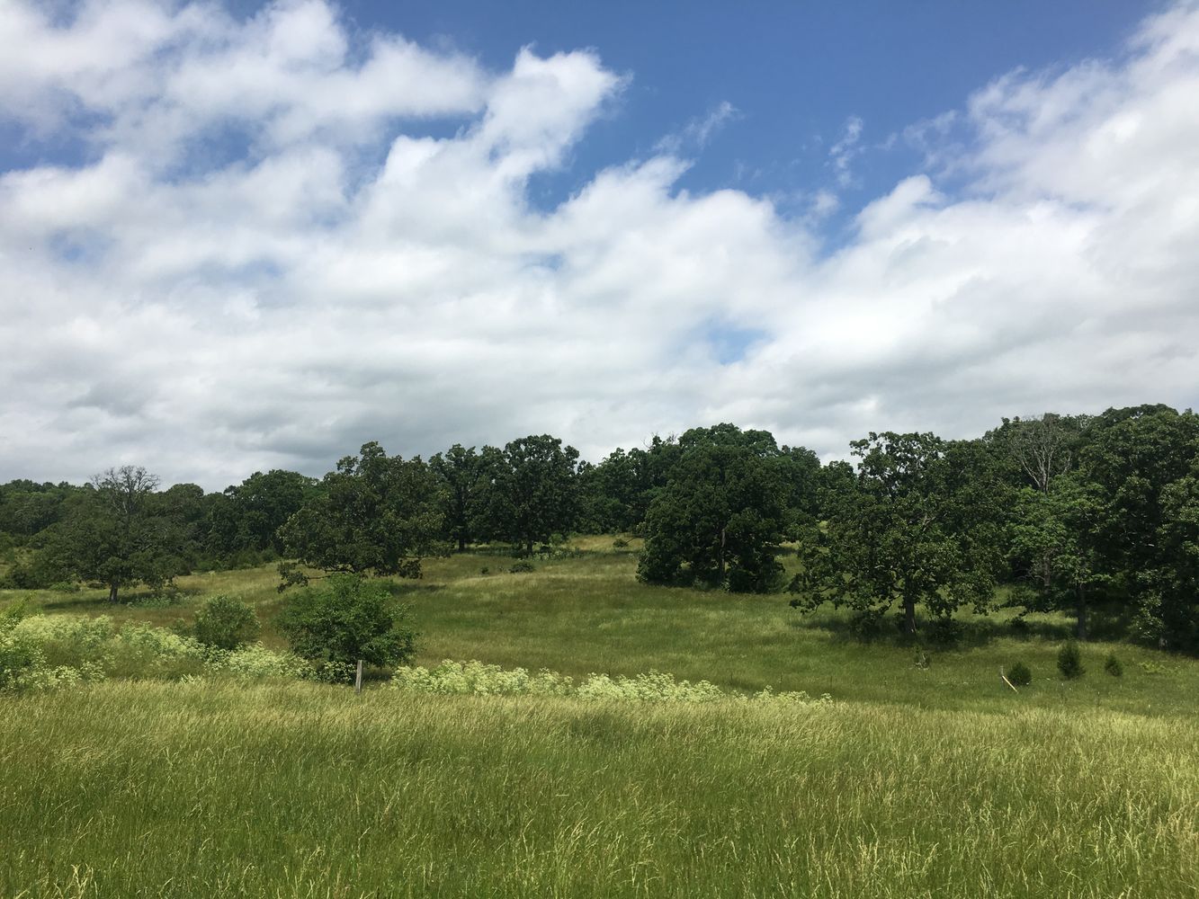 4897 & 4878 Norman Drive, Hartville, MO 65667